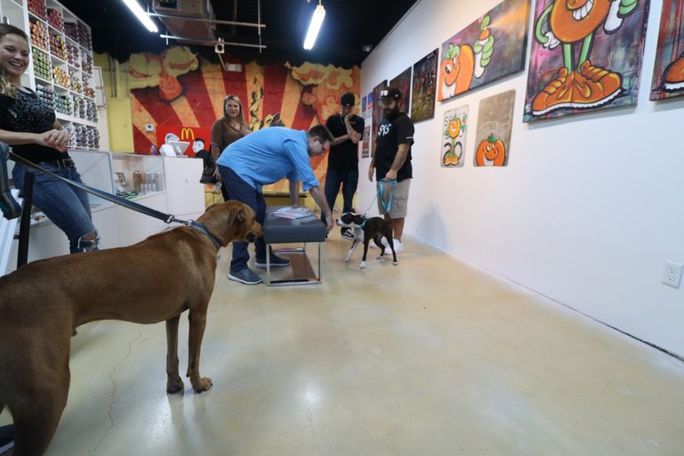 69309294 388887535163779 1554395342126972928 o 768x512