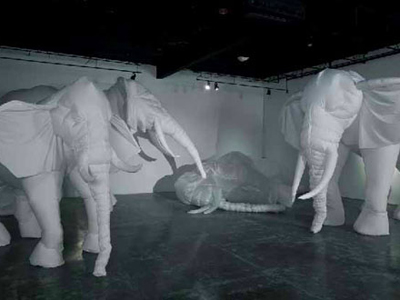 Billie Grace Lynn. White Elephants. 2007. Miami Museums