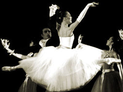 Miami City Ballet. Miami Arts