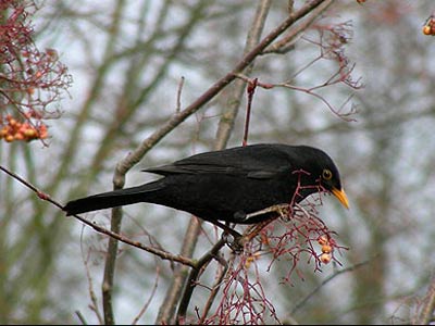 GableStage. Miami Theaters GableStage. Miami Theaters