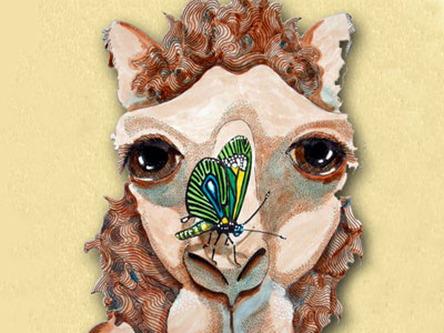 Girl Choir of South Florida. Miami Music