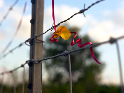 Dot Fiftyone Gallery. Miami Art Galleries Dot Fiftyone Gallery. Miami Art Galleries