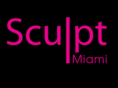 Sculpt Miami Art Fair. Miami Art Fair