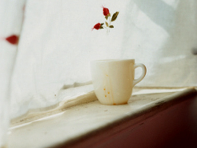 Home is where the Lens Is. Peggy Levison Nolan at Dina Mitrani Gallery Home is where the Lens Is. Peggy Levison Nolan at Dina Mitrani Gallery