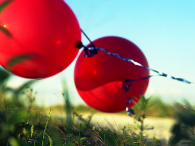 Leslie Gabaldon: And let it go…Collective loss: another visual register of unavoidable thoughts. Miami Exhibitions