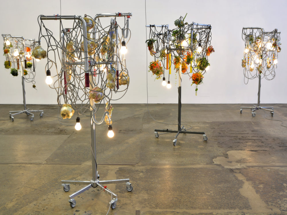 Image from In the Cone of Uncertainty