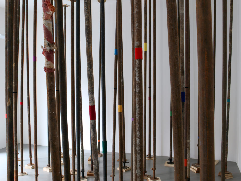 Image from Blind Spot