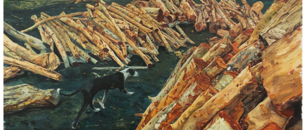 carbon-panamericanart